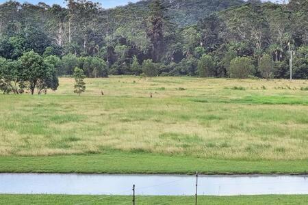 Вілла The Sanctuary - Family Retreat - Noosa Hinterland North Arm Екстер'єр фото