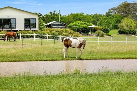 Вілла The Sanctuary - Family Retreat - Noosa Hinterland North Arm Екстер'єр фото