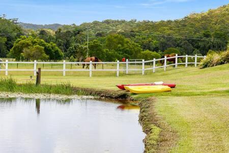 Вілла The Sanctuary - Family Retreat - Noosa Hinterland North Arm Екстер'єр фото